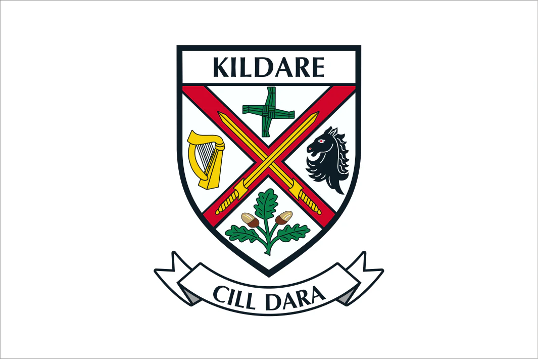 Kildare County Flags TH Flags kildare-county-flags-th-flags