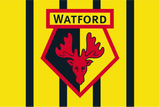 Watford Football Club Flag