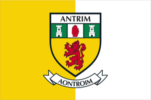 Antrim County Flags