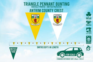 Antrim County Bunting