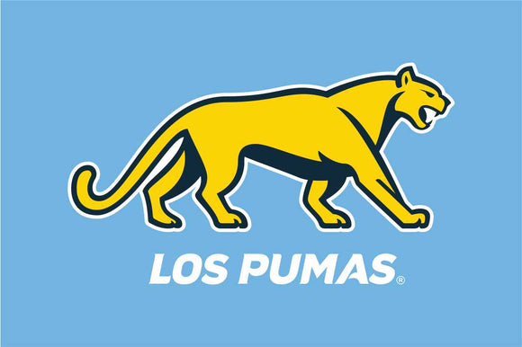 Argentina Rugby Crested Flag - Los Pumas