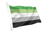 Aromatic Pride Flag