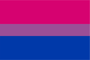 Bisexual Pride Flag