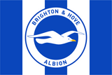 Brighton & Hove Albion Football Club Flag