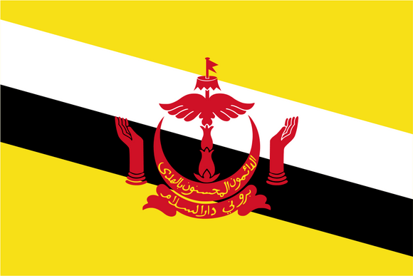 Brunei National Flag