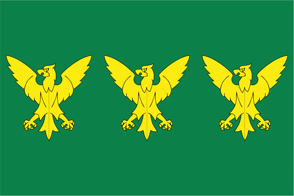 Caernarfonshire County Flag