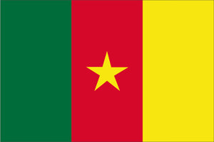 Cameroon National Flag