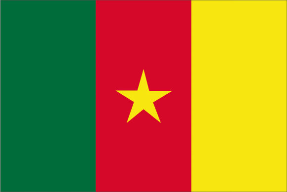 Cameroon National Flag