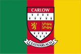 Carlow County Flags