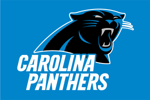 Carolina Panthers Flag