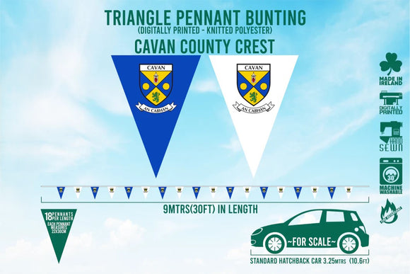 Cavan County Bunting