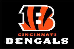 Cincinnati Bengals Flag