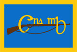 Cumann na mBan Flag