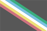 Disability Pride Flag