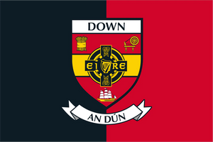 Down County Crest Handwaver Flag