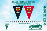 Down County Bunting