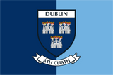 Dublin County Crest Handwaver Flag