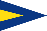 1st SUBSTITUTE Code Flag