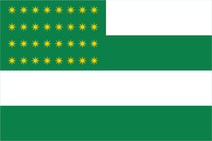 Fenian Brotherhood Flag