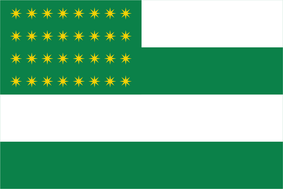 Fenian Brotherhood Flag