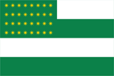 Fenian Brotherhood Flag