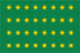 Fenian Brotherhood Star Flag