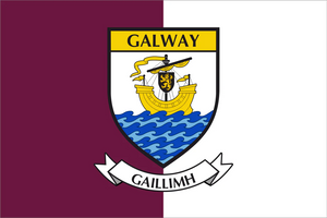 Galway County Crest Handwaver Flag