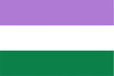 Gender Queer Pride Flag