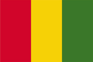 Guinea Flag