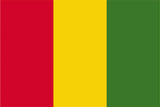Guinea Flag