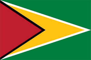 Guyana Flag