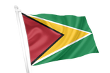 Guyana Flag