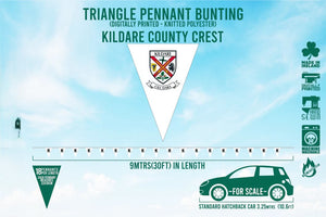 Kildare County Bunting