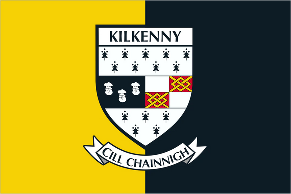 Kilkenny County Crest Handwaver Flag