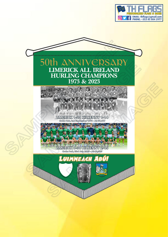 Limerick Hurling 50th Anniversary  1973 & 2023