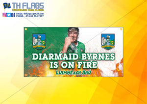 Limerick Hurling "Customised"  Diarmuid Byrnes is on fire