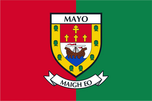 Mayo County Crest Handwaver Flag