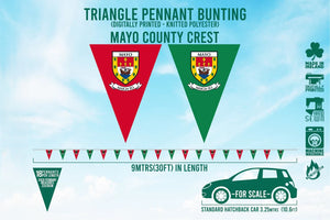 Mayo County Bunting