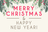 Merry Christmas and Happy New Year Flag