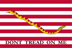 Naval Jack of the United States (2002–2019) Flag