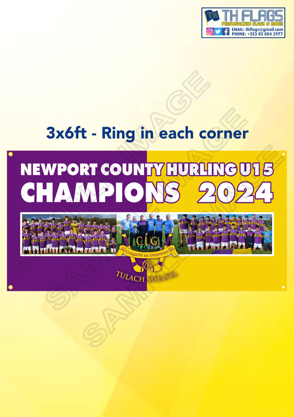 Newport GAA County U15 Hurling Champions 2024