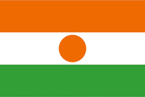 Niger Flag