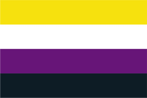 Nonbinary Pride Flag