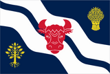 Oxfordshire County Flag