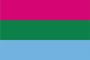 Polysexual Pride Flag