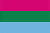 Polysexual Pride Flag