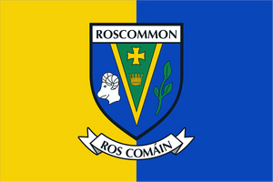 Roscommon County Crest Handwaver Flag