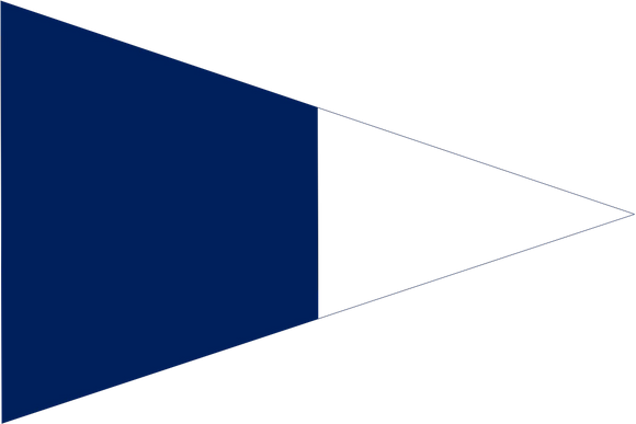 2nd SUBSTITUTE Code Flag