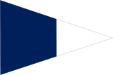2nd SUBSTITUTE Code Flag