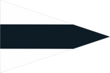 3rd SUBSTITUTE Code Flag